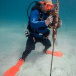 Newswise: NSU & Coral Restoration Foundation™ Join Forces to Save Coral Diversity